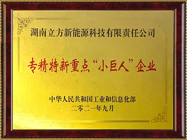 国家专精特新重点“小巨人”企业